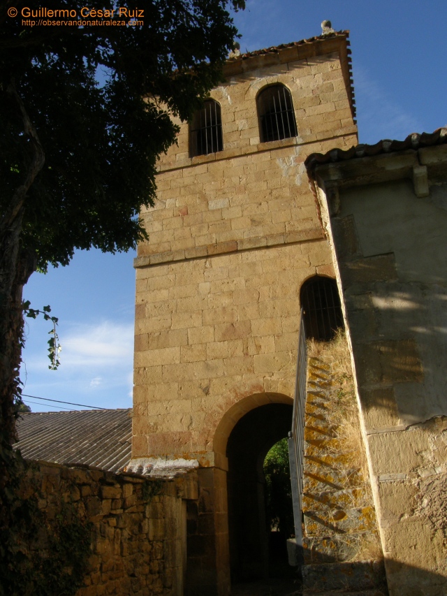 Torre iglesia Sta. Eugenia